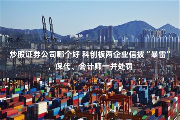 炒股证券公司哪个好 科创板两企业信披“暴雷”，保代、会计师一并处罚