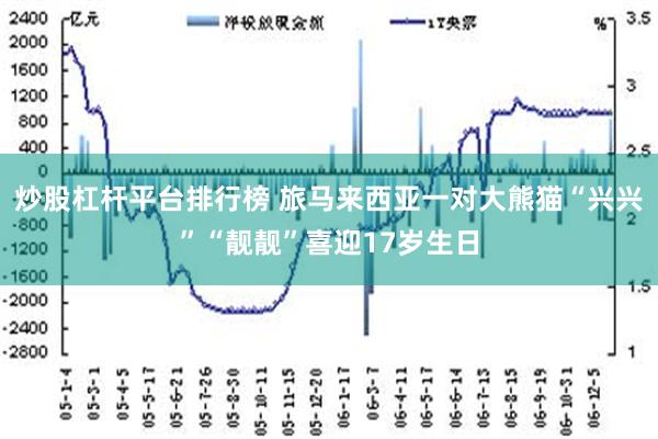 炒股杠杆平台排行榜 旅马来西亚一对大熊猫“兴兴”“靓靓”喜迎17岁生日