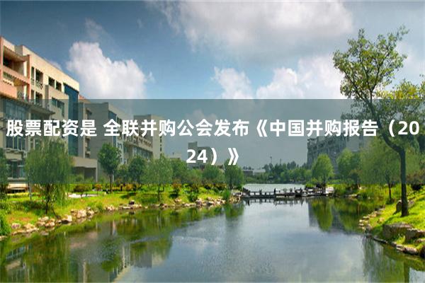 股票配资是 全联并购公会发布《中国并购报告（2024）》