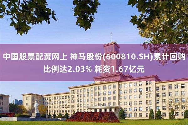 中国股票配资网上 神马股份(600810.SH)累计回购比例达2.03% 耗资1.67亿元