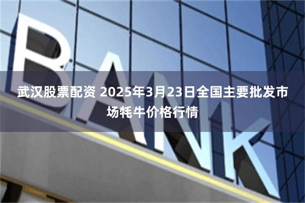 武汉股票配资 2025年3月23日全国主要批发市场牦牛价格行情