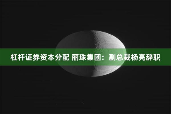 杠杆证券资本分配 丽珠集团：副总裁杨亮辞职