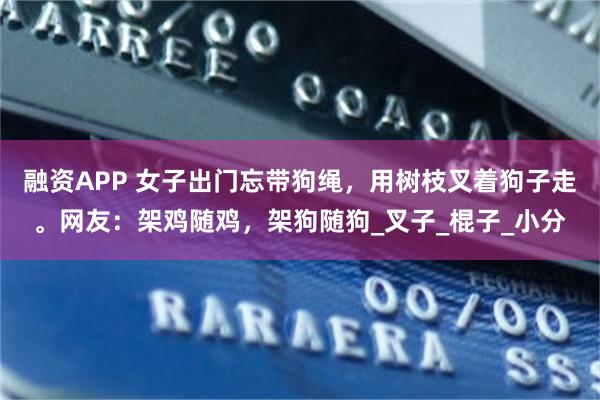 融资APP 女子出门忘带狗绳，用树枝叉着狗子走。网友：架鸡随鸡，架狗随狗_叉子_棍子_小分