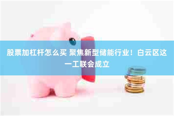 股票加杠杆怎么买 聚焦新型储能行业！白云区这一工联会成立