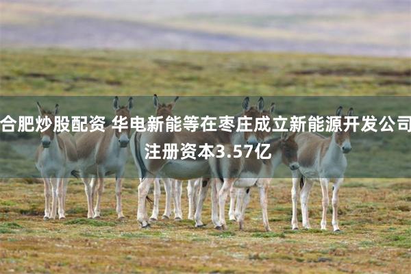 合肥炒股配资 华电新能等在枣庄成立新能源开发公司 注册资本3.57亿