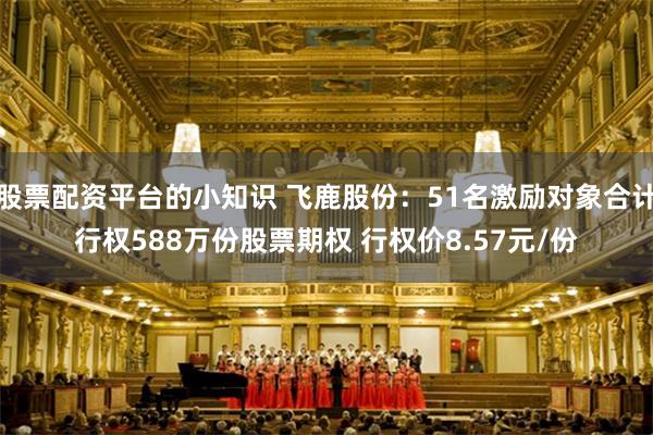 股票配资平台的小知识 飞鹿股份：51名激励对象合计行权588万份股票期权 行权价8.57元/份