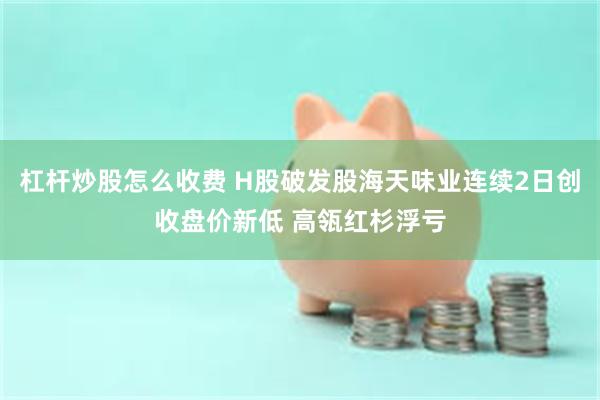 杠杆炒股怎么收费 H股破发股海天味业连续2日创收盘价新低 高瓴红杉浮亏