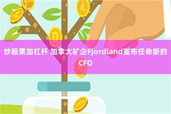 炒股票加杠杆 加拿大矿企Fjordland宣布任命新的CFO